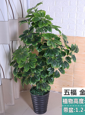 仿真植物假花仿生花卉蝴蝶兰盆栽