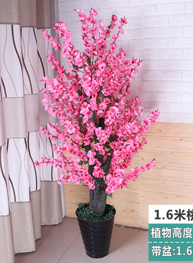 假花高仿真植物假树发财树蝴蝶兰