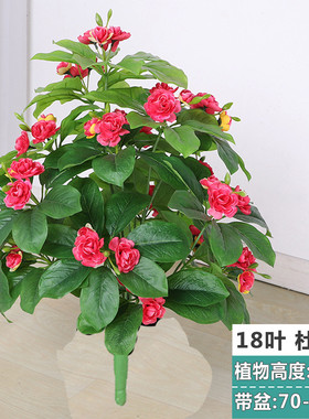 仿真植物假花仿生花卉杜鹃花果树