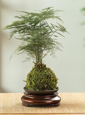 苏工黄铜三c足底座花瓶聚宝盆托架家居办公室内桌面摆件茶杯垫托