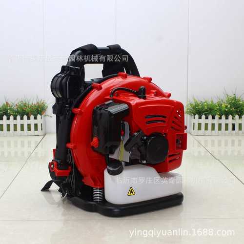 英奇新款 EB6000 背负式二冲汽油吹风机 吹雪机 吹叶机风力灭火机 - 图2