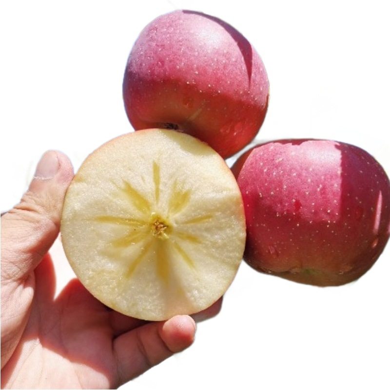 【下单立减50】正宗冰糖心丑苹果红富士苹果新鲜应季水果脆甜多汁,淘宝优惠券,粉丝福利购,淘宝优惠卷