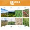 1000Z micro tillage hand-held self-propelled gear-driven rotary tiller loose soil weeding land reclamation gasoline machinery
