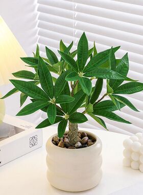绿植小型盆栽发财树感室内办公桌面客厅茶几假花花艺摆设