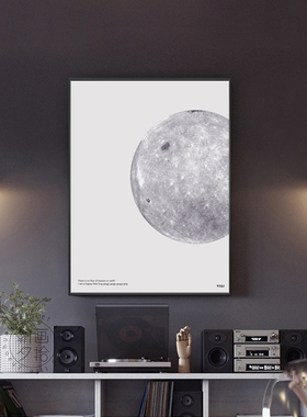 北欧装饰画星球挂画玄关入户现代简约太空组画行星黑白色月球地球