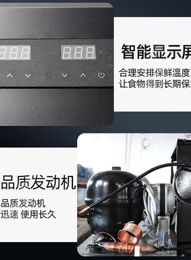 四门冰箱商用大二门冷藏保鲜柜不锈钢大容量六门冰柜冷冻柜全铜管