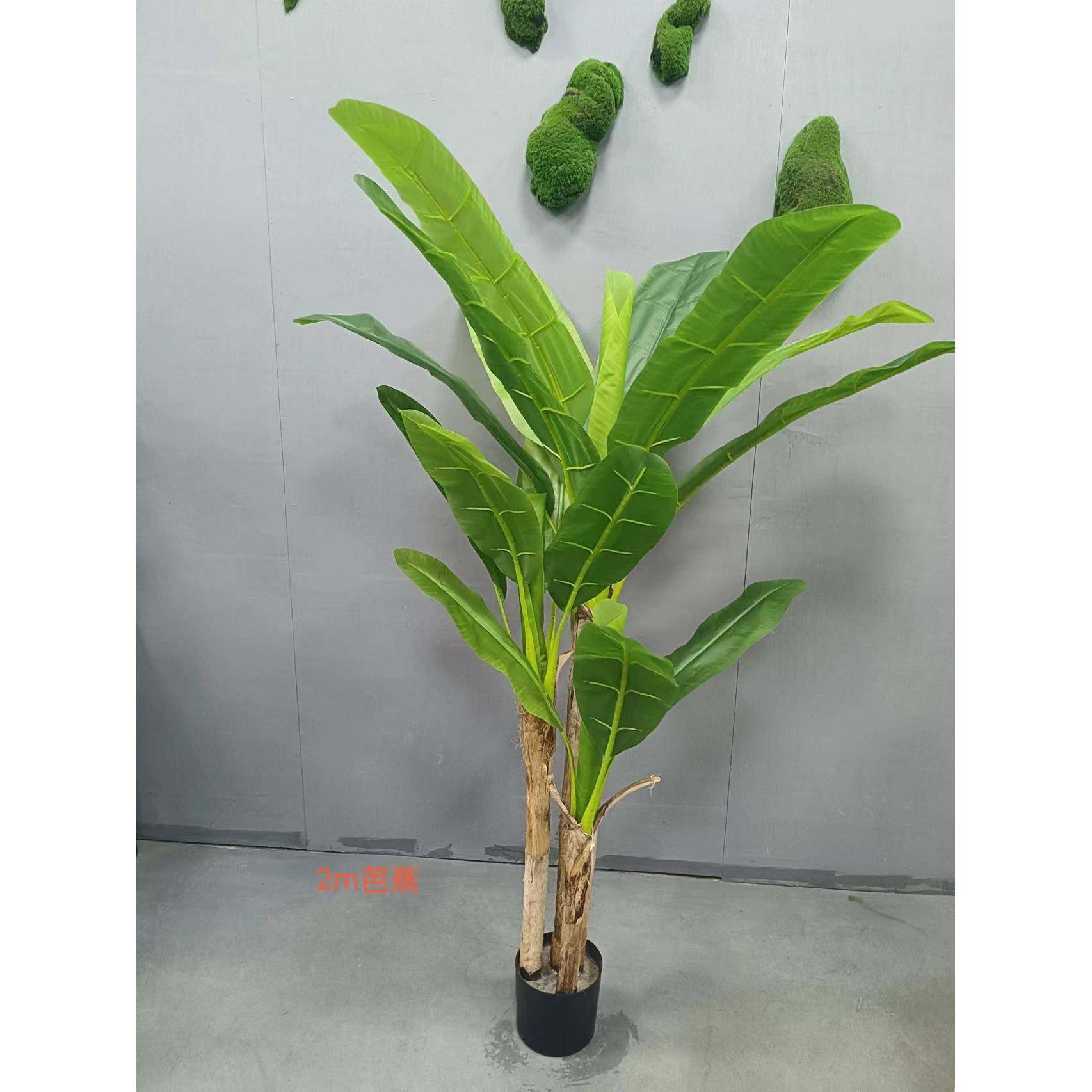 热带植物仿真香蕉树造景大型芭蕉落地盆景室内软装办公室盆景,淘宝优惠券,粉丝福利购,淘宝优惠卷