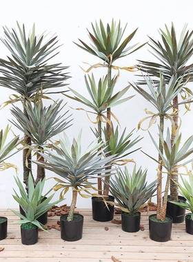 仿真绿植龙舌兰剑麻假树植物盆栽室内客厅装饰家居落地剑兰盆景摆