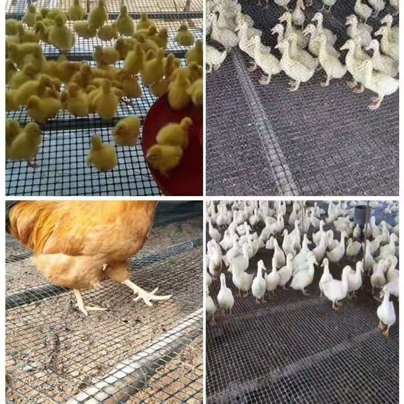 塑料围栏网1.5厘米小孔养鸡鸭漏粪垫脚育雏大棚防鸟鼠宠物脚垫网,淘宝优惠券,粉丝福利购,淘宝优惠卷