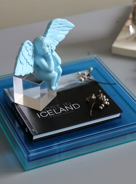 现代简约蓝色亚克力植物画托盘摆件创意样板间酒柜艺术软装饰品