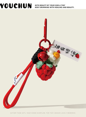 好柿事发生挂件钥匙扣前程似锦手工饰品钩织精致女包包小挂件礼物
