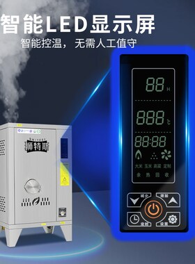燃气蒸汽发生器商用煮豆浆全自动蒸汽机酿酒蒸馒头豆制品行业锅炉
