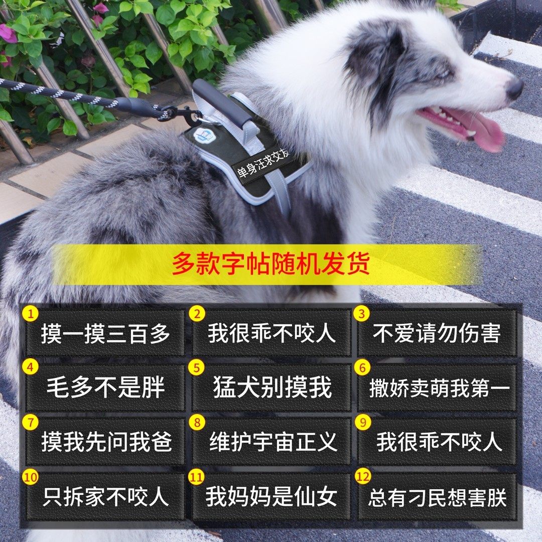 酷吉贝狗狗马鞍式胸背带加牵引绳P绳中大型犬遛狗皆可用,淘宝优惠券,粉丝福利购,淘宝优惠卷