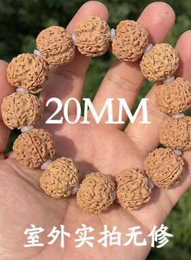 大金刚菩提五星梅花双龙手串散珠安娜籽原生态金刚菩提子佛珠蜂王