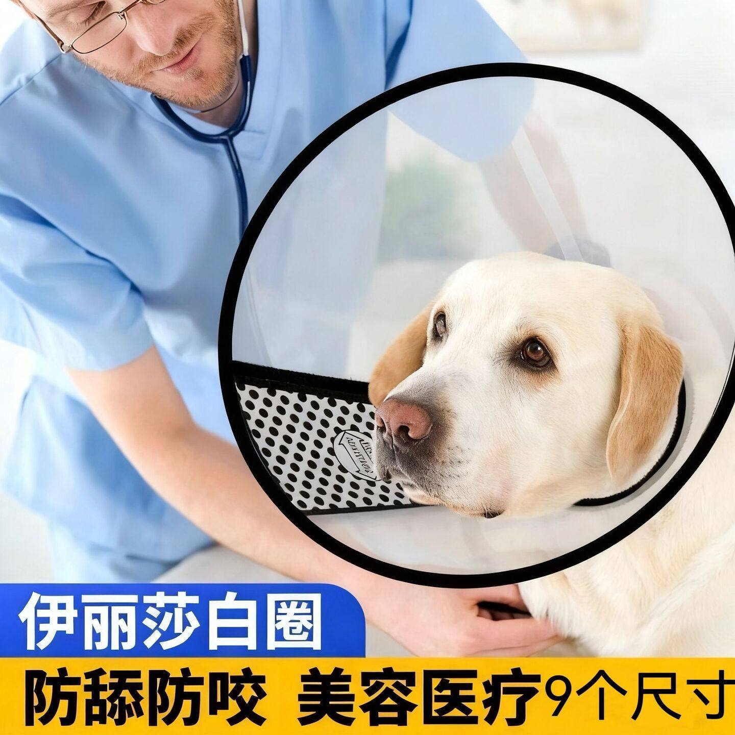 伊丽莎白猫圈狗狗防舔咬脖套宠物狗绝育防护耻辱圈可调节宠物头套,淘宝优惠券,粉丝福利购,淘宝优惠卷