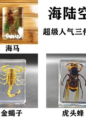 琥珀昆虫标本迷你小动物摆件真虫子蝴蝶甲虫虫珀石饰品挂件蜘蛛蝎