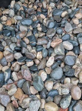 现货供应鹅卵石园林造景石铺路石变电站专用5-8公分河卵石造景铺