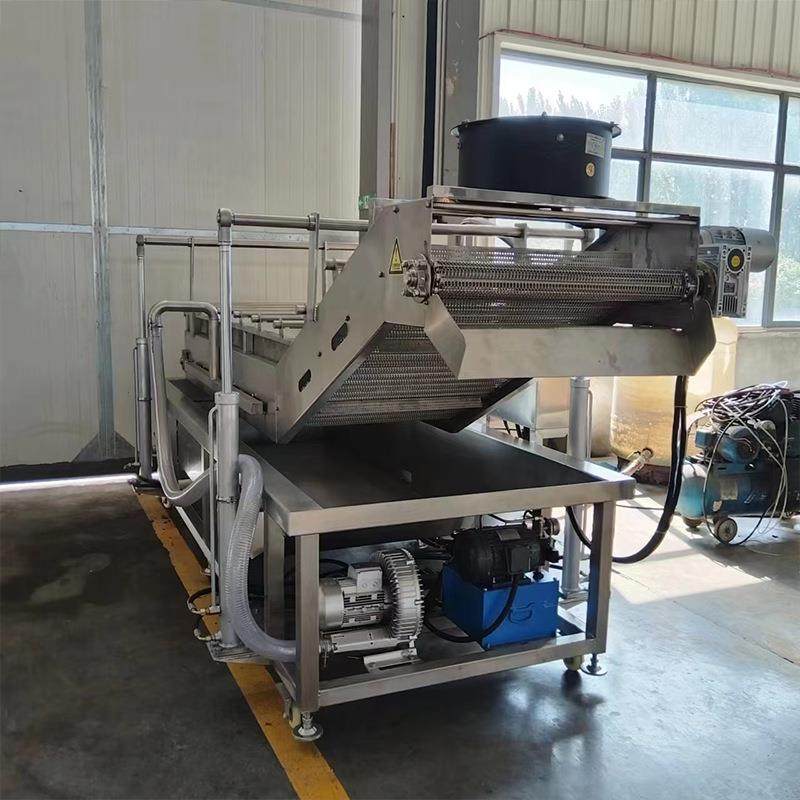 商用气泡清洗机水果蔬菜清洗设备全自动大型商用连续叶类清洗设备,淘宝优惠券,粉丝福利购,淘宝优惠卷