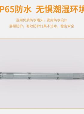 工厂贴片三防灯1.2全塑三防灯40WLED一体化防水灯具量大价优