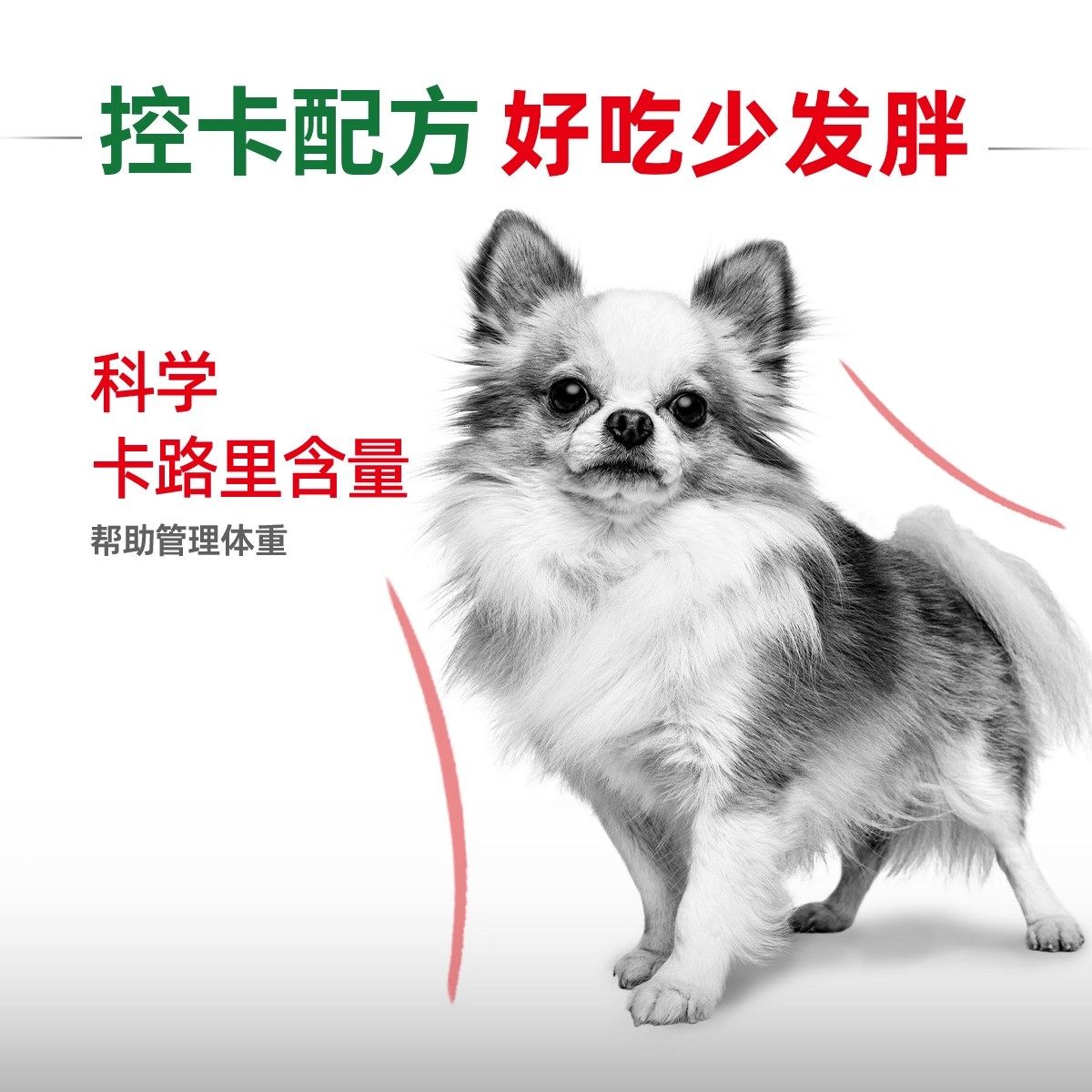 皇家狗粮小型犬成犬全价犬粮泰迪比熊博美通用狗粮PR27/2KG,淘宝优惠券,粉丝福利购,淘宝优惠卷