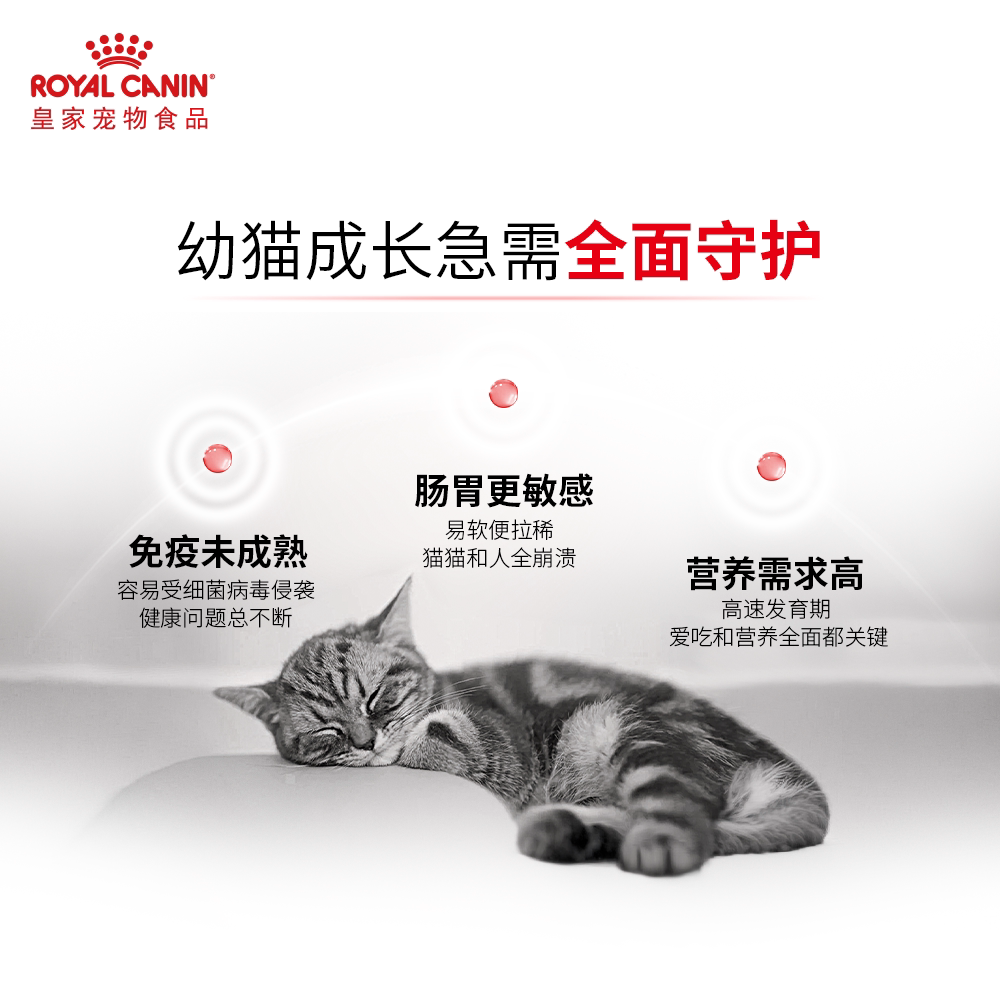 Royal cat food canned kitten mousse cat milk cake can 85g nutritional staple food grade cat wet food