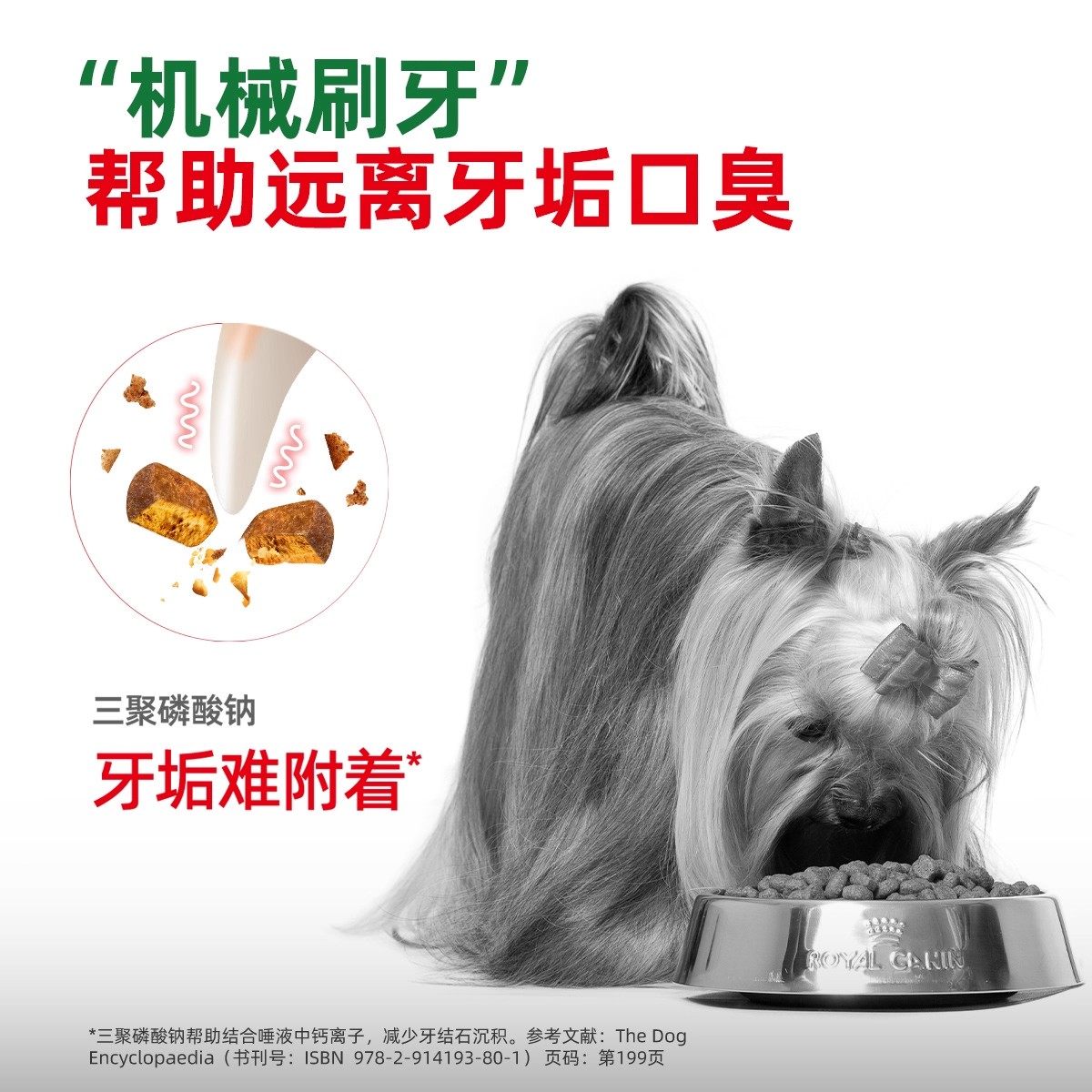 皇家狗粮小型犬成犬全价犬粮泰迪比熊博美通用狗粮PR27/2KG,淘宝优惠券,粉丝福利购,淘宝优惠卷
