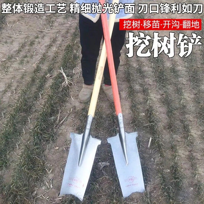 军印锰钢加厚挖树专用挖山药栽树挖树挖沟锹起苗挖树根窄长锹钢锹,淘宝优惠券,粉丝福利购,淘宝优惠卷