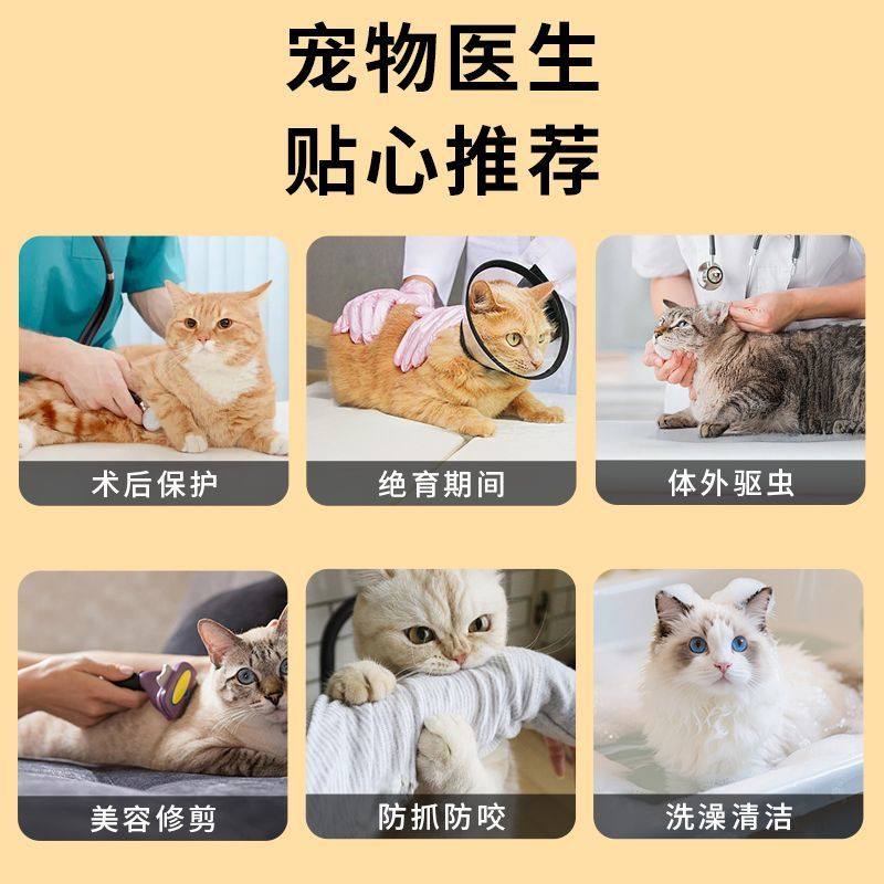 伊丽莎白猫圈狗狗防舔咬脖套宠物狗绝育防护耻辱圈可调节宠物头套,淘宝优惠券,粉丝福利购,淘宝优惠卷