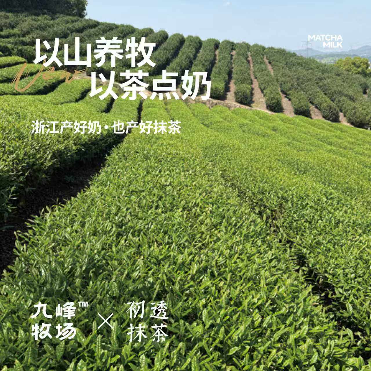 【48小时发货】九峰牧场零乳糖抹茶牛乳170ml*6限量赠5.0牛乳正品,淘宝优惠券,粉丝福利购,淘宝优惠卷