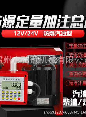 12v24v220V车载小型加油机电动抽油泵大流量柴油泵全自动电子计量