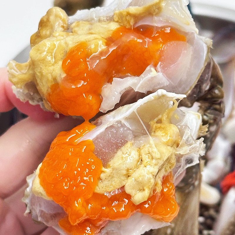 舟山红膏咸蟹宁波红膏咸蟹生腌梭子蟹即食生鲜酱母蟹只只带红膏,淘宝优惠券,粉丝福利购,淘宝优惠卷