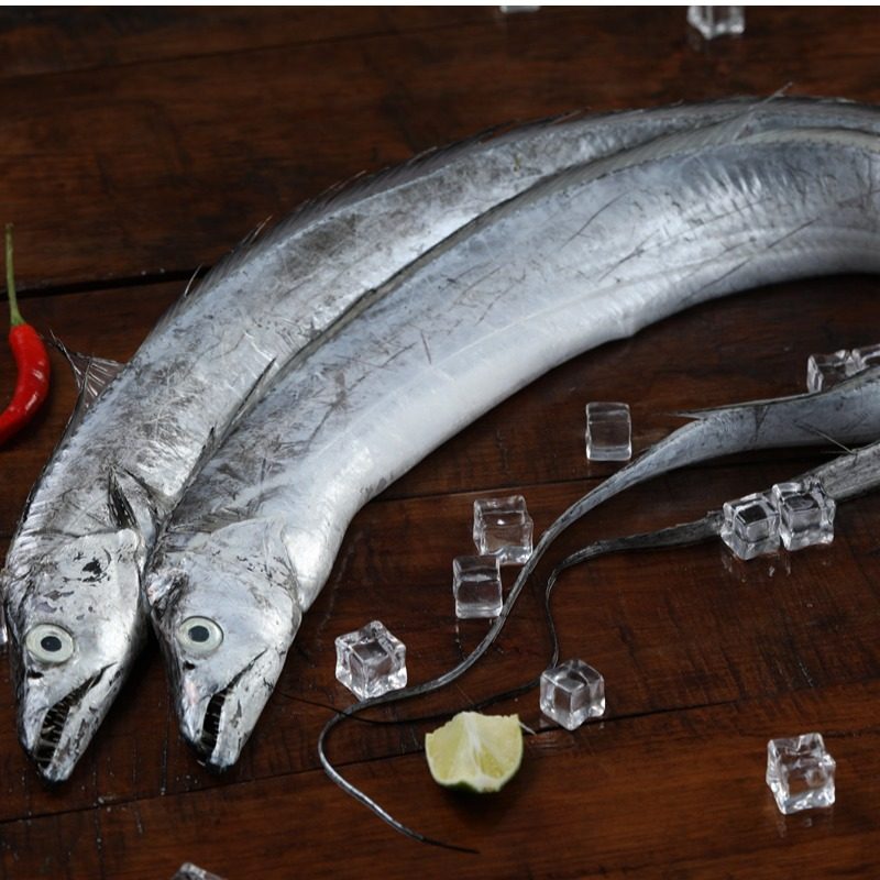 4斤整条野生带鱼舟山鲜活雷达网小眼睛东海大号带鱼新鲜冷冻 刀鱼,淘宝优惠券,粉丝福利购,淘宝优惠卷