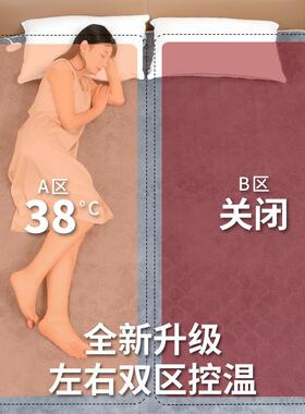 2024新款长毛绒电热毯双人双控调温智能定时单人加大厚电褥子家用