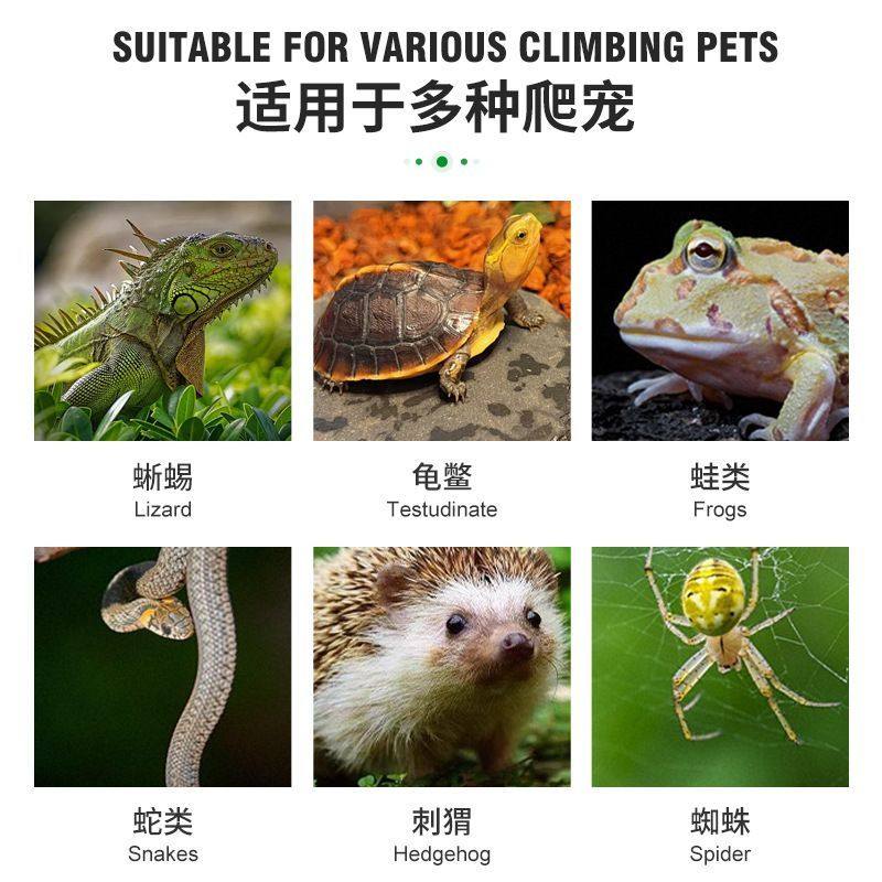 爬宠养殖陶瓷加热灯夜灯 宠物乌龟刺猬蜥蜴红外线保温加温取暖,淘宝优惠券,粉丝福利购,淘宝优惠卷