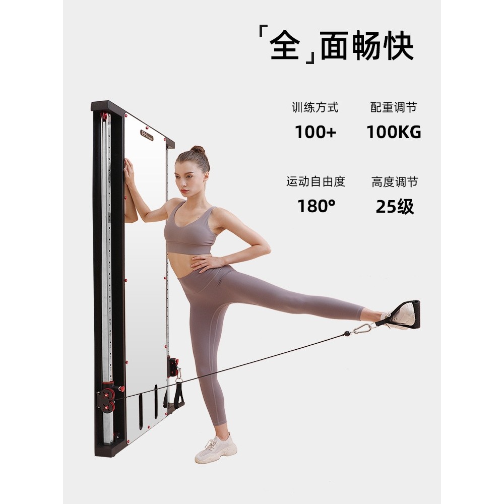 靠墙飞鸟龙门架单边贴靠墙镜面家用壁挂式小飞鸟力量综合训练器,淘宝优惠券,粉丝福利购,淘宝优惠卷