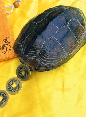 铜乌龟壳六爻起卦用具铜钱工具z爻卦金钱龟甲龟壳周易八卦家居摆