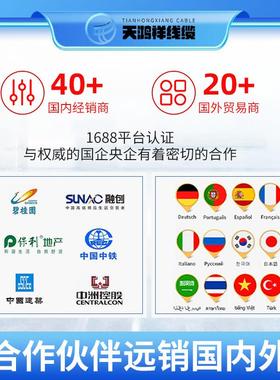 天鸿祥家装工程白色RVV护套线2*2.5绝缘铜芯电线聚氯乙烯电线电缆