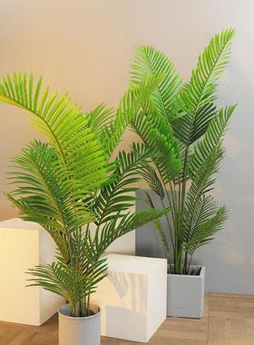北欧散尾葵仿真植物盆栽客厅凤尾竹仿生大型绿植造景花艺假树摆件