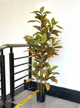 直销仿真盆栽变色木洒金榕假树小树酒店民宿景观走道花艺装饰摆件