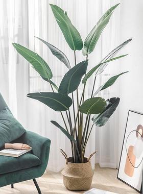 仿真植物旅人蕉假绿植橱窗造景室内装饰落地大型假树仿真树仿真绿