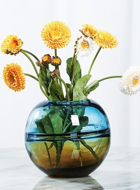 彩色玻璃花瓶摆件现代简约客厅样板房餐桌花瓶插花可Y蓄水装饰摆