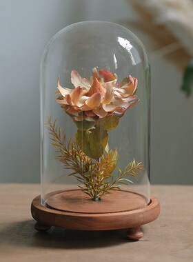 植物装本干花花艺摆件家居创意瓶花软标样板间书房橱窗展示台陈列