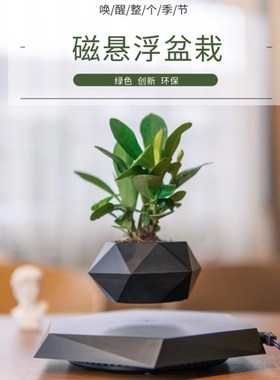 反重力自动旋转磁悬浮花盆情绪稳定办公桌家居摆件花草植物装饰品