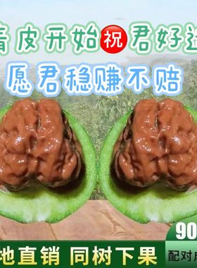 开青皮文玩核桃青皮三棱官帽狮子头蛤蟆头个大圆润405060