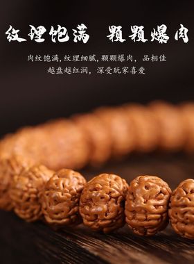 爆肉双圈小金刚菩提手串学生版盘玩藏式小众文玩佛珠男女手持手链