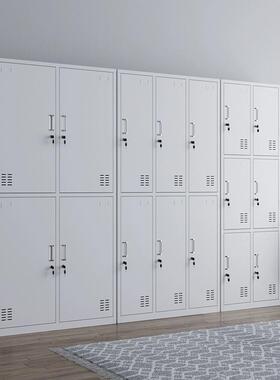 钢制二门更衣柜家用带锁储存物柜寄存工厂员工换衣柜铁皮卧室衣柜