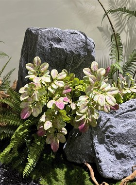 仿真泡沫青龙石绿植室内软装x造景泡沫假山商场美陈摆件景观石墙