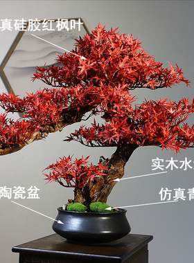 新中式仿真红枫盆景室内茶室迎客松绿植玄关博古架U红枫树装饰摆