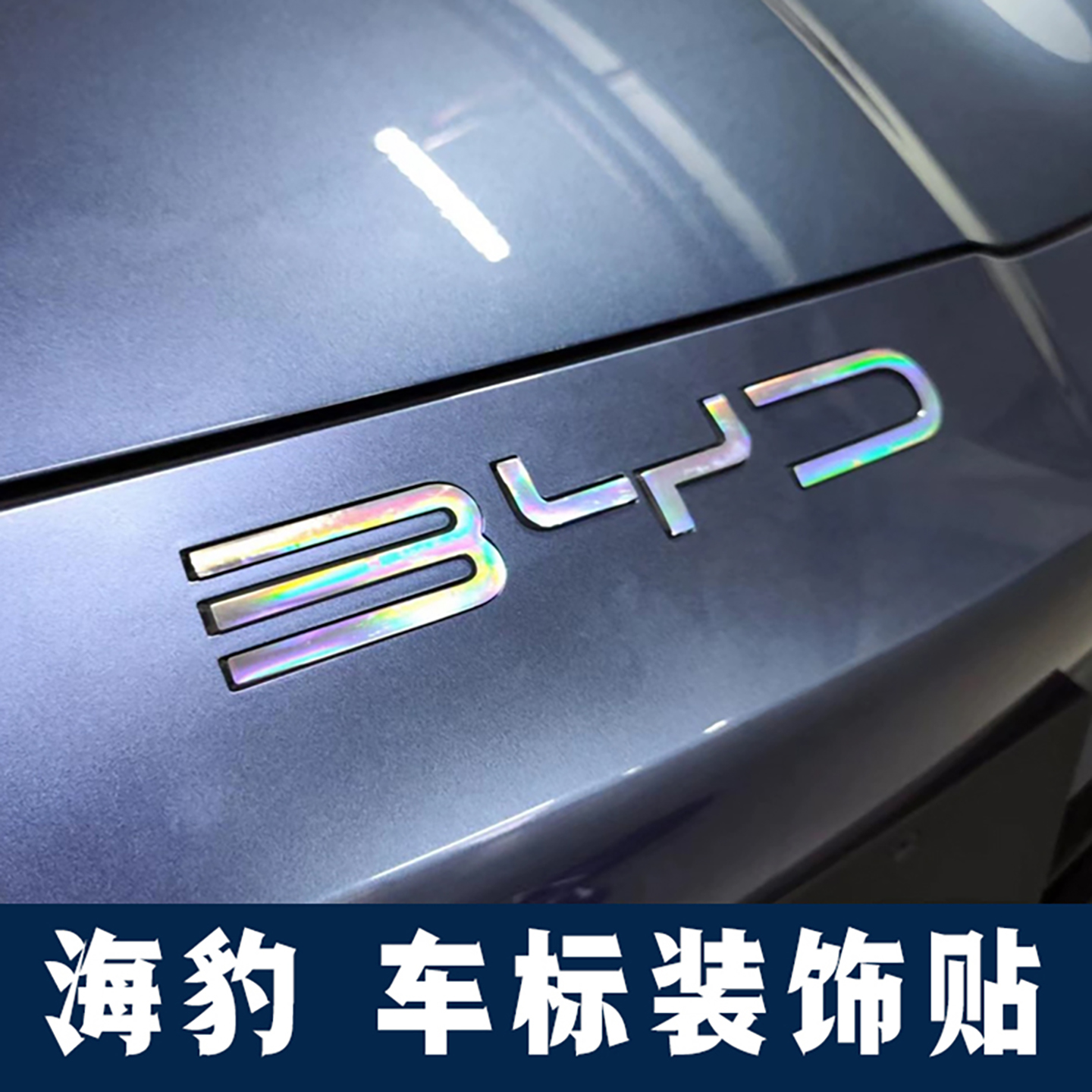 适用比亚迪海豹evdmi 05DMI 07DMI 06GT 06DMI车标装饰改装改色贴 - 图2