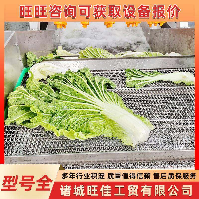 全自动蔬菜清洗机海带清洗线藕片清洗设备果蔬气泡清洗机,淘宝优惠券,粉丝福利购,淘宝优惠卷